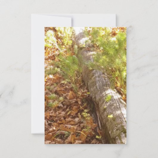 Correspondance Carte de note de journal Woodsy (Devant)