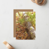 Correspondance Carte de note de journal Woodsy (Devant/Arrière en situation)