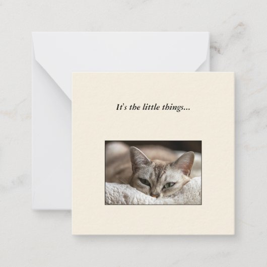 Correspondance Carte de note de mini-remerciement de chats mignon (Devant)