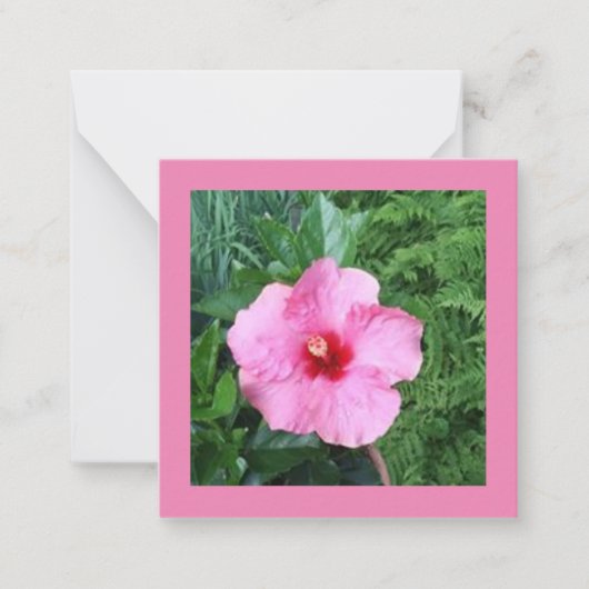 Correspondance Carte de note Hibiscus rose (Devant)