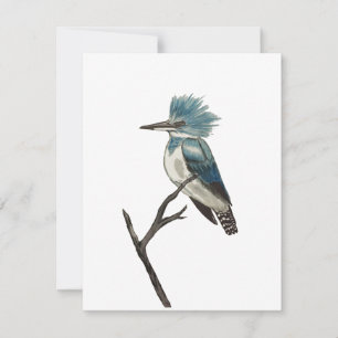 Correspondance Carte de note Kingfisher Belge