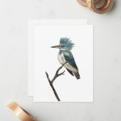 Correspondance Carte de note Kingfisher Belge (Devant/Arrière en situation)