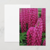Correspondance Carte de note plat Lupine rose (Devant / Derrière)