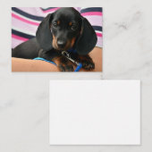 Correspondance Carte de note pour marionnettes Dachshund - Carte (Devant / Derrière)