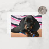 Correspondance Carte de note pour marionnettes Dachshund - Carte (Devant/Arrière en situation)