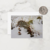 Correspondance carte de vacances enneigée cactus (Devant/Arrière en situation)