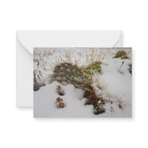 carte de vacances enneigée cactus