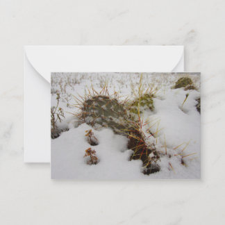 Correspondance carte de vacances enneigée cactus
