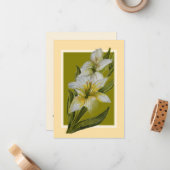 Correspondance Carte d'offre de masse pour repos éternel (Devant/Arrière en situation)