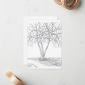 Correspondance Carte Nota vierge de l'arbre de bouleau - n° 2 (Devant/Arrière en situation)