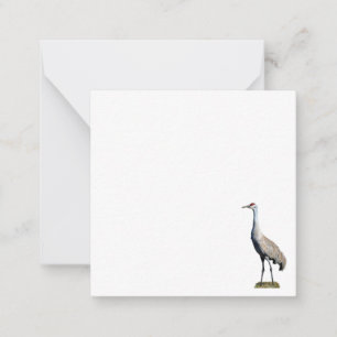 Correspondance Carte photo de la grue de Sandhill