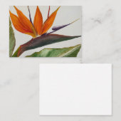 Correspondance Carte pour notes de l'Oiseau du Paradis (Devant / Derrière)