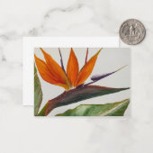 Correspondance Carte pour notes de l'Oiseau du Paradis (Devant/Arrière en situation)