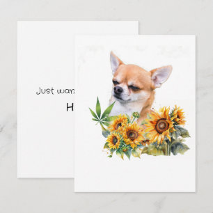 Correspondance Chihuahua Tournesols Juste Dire Sa Carte De Voeux