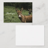 Correspondance Donkey Carte de remerciements (Devant / Derrière)