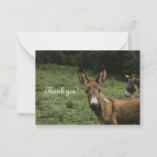 Correspondance Donkey Carte de remerciements