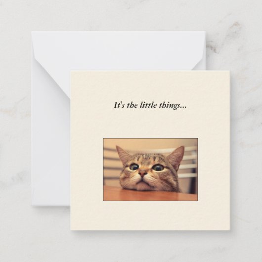 Correspondance Funny Cat Mini Merci Carte de Note (Devant)