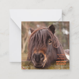 Correspondance Propriété d'une carte de billet Shetland