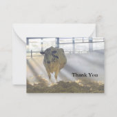 Correspondance Vache dans le Carte de remerciements brouillard (Devant)