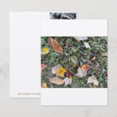 Correspondance Vapeur de natures, carte à note plate (Devant / Derrière)