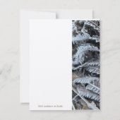 Correspondance Vapeur de natures, carte à note plate (Dos)