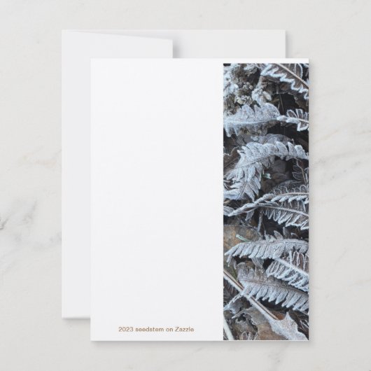 Correspondance Vapeur de natures, carte à note plate (Dos)