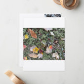 Correspondance Vapeur de natures, carte à note plate (Devant/Arrière en situation)