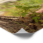 Corrina Rachel Robe Rouge Poster (Coin)