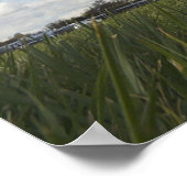 Corsair Poster (Hoek)