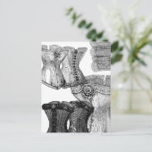 Corsets en meer corsets briefkaart (Staand voorkant)