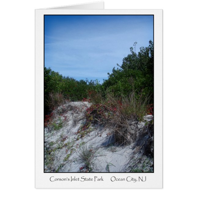 Corson's Inlet State Park (Devant)