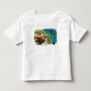 Cortez Regenwras mannelijk en vrouwelijk en zee Kinder Shirts