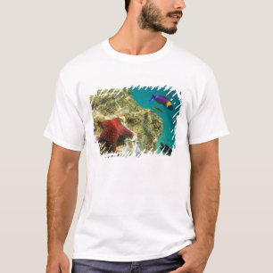 Cortez Regenwrasse mannetje en vrouwtje en zee T-shirt