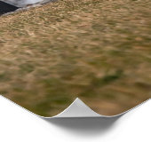 Corvette C7 Z06 Poster (Hoek)