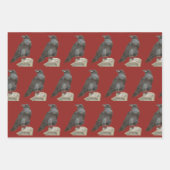 Corvid Inpakpapier Vel (Voorkant)