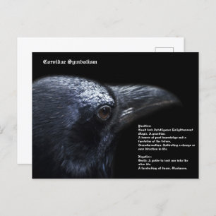 Corvidae-symboliek Briefkaart