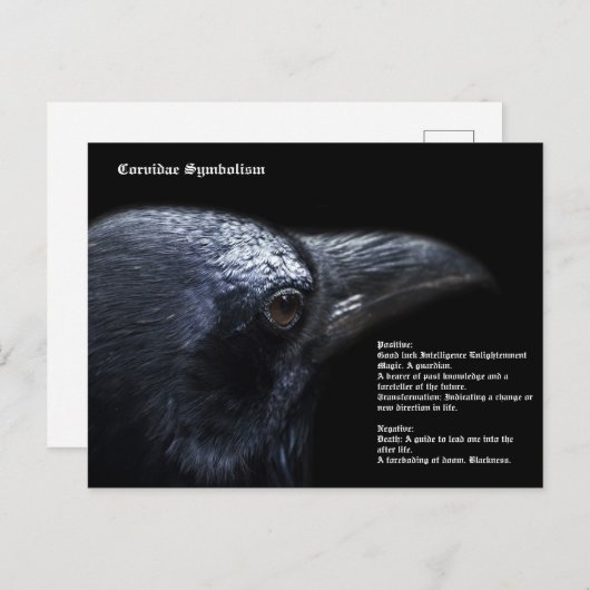 Corvidae-symboliek Briefkaart (Voorkant / Achterkant)