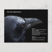 Corvidae-symboliek Briefkaart (Voorkant)