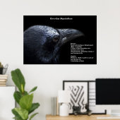 Corvidae Symbolism Poster (Bureau à domicile)