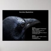 Corvidae Symbolism Poster (Devant)
