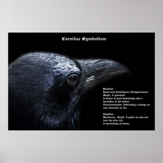 Corvidae Symbolism Poster (Devant)