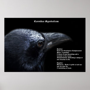 Corvidae Symbolisme Poster