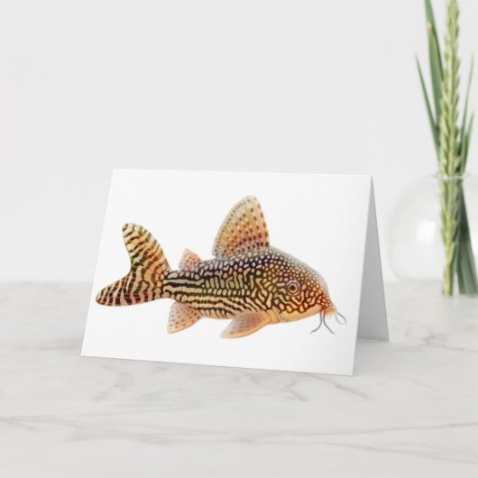 Corydoras Catfish-Wenskaart Kaart (Voorkant)