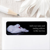 Coscoroba Swan P3442 Etiket (Insitu)