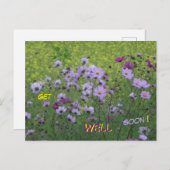 Cosmea & Koolzaadveld Beterschap Wenskaart Briefkaart (Voorkant / Achterkant)