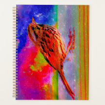 Cosmic Bird Dreamscape Art Print"