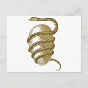 Cosmic egg briefkaart