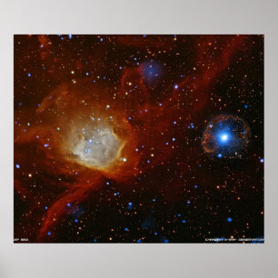 Cosmic Ornament Poster