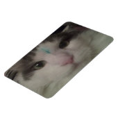 Cosmo 3 Aangepaste Magneet (Linkerzijde)