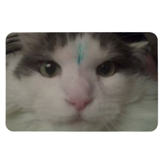 Cosmo 3 Aangepaste Magneet (Horizontaal)